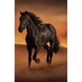 thumbnail image 1 of (Big Size) DIY horse Diamond Painting 5D Kit Full Round Drill Drawing, 1 of 10