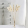 thumbnail image 3 of BalsaCircle Wheat 6 Sprays Stems 32" Natural Pampas Grass Dried Plant Wedding Party Decorations, 3 of 8