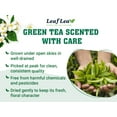 thumbnail image 2 of LeafLea 80 Jasmine Green Tea Bags, Green Tea with Natural Jasmine Aroma, Delicate Floral and Smooth Taste, Caffeinated, Sugar-Free, 2 of 17