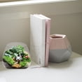 thumbnail image 3 of Shisuyan 1 Pc Microlandschaft Terrarium Flower Glass Vase Micro-Ecology Environment Bottles Succulent Plant Vase Glass Container for Flower (Transparent), 3 of 9