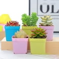 thumbnail image 6 of 10Pcs 5.5cm Square Plastic Succulent Pots Plant Pots with Bottom Drainage Design, 6 of 6