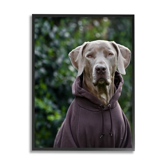 Stupell Industries Labrador Dog Wearing Sweatshirt Hoodie Detailed Photography Photograph Black Framed Art Print Wall Art, Design by Michael Brian