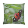 thumbnail image 2 of Ahgly Company Insects Butterfly Indoor Throw Pillow, 18 inch by 18 inch, 2 of 6