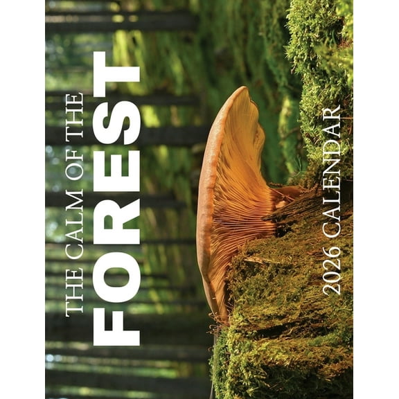 The Calm of the Forest 2026 Calendar, (Paperback)