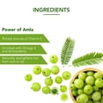 thumbnail image 2 of Dabur Huile Capillaire Amla, 275 ml, 2 of 3