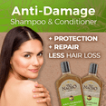 thumbnail image 3 of Tio Nacho Anti Damage Royal Jelly & Aloe Vera Deep Repair Shampoo + Conditioner Set, 3 of 5