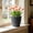 Dark Gray-DG, variant on MMJ Large Round Plastic Planter Faux Rattan Texture 7.20x6.89x3.93in Home Decor Pot Indoor Outdoor Green Plants Flowers Container