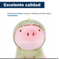 thumbnail image 3 of Peluche de Cerdito con disfraz de dinosaurio Puercosaurio, 3 of 4