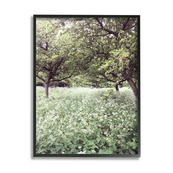 Stupell Industries Lush Meadow Trees Landscape Photography Black Framed Art Print Wall Art, 11 x 14