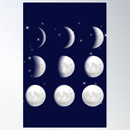 Bloom Theory Happy Moon Day, National Moon Day 3 Poster Wall Art, Modern Wall Decor, 8x12 UNFRAMED