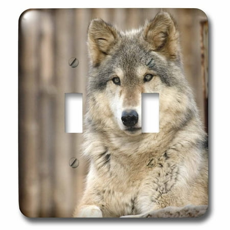 Folsom Zoo Christmas 3dRose Gray Wolf, Folsom City Zoo, California - US05 TAU0105 - Tananarive Aubert - Double Toggle Switch (lsp_88650_2) ()