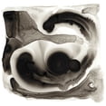 thumbnail image 2 of Stramel, Renee W. 26x26 Black Ornate Wood Framed with Double Matting Museum Art Print Titled - Inspired I, 2 of 4