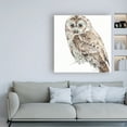 thumbnail image 3 of Trademark Fine Art 'Forest Friends III Soft Shade' Canvas Art by Lisa Audit, 3 of 3