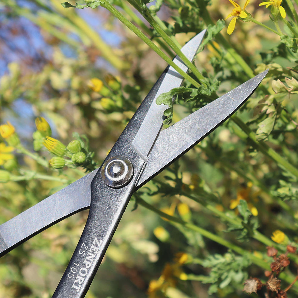Zenport ZS105 Deluxe Garden Scissors, 6.5-Inch, 1.5 Inch Carbon Steel Blades, Red/White - 12 Pack