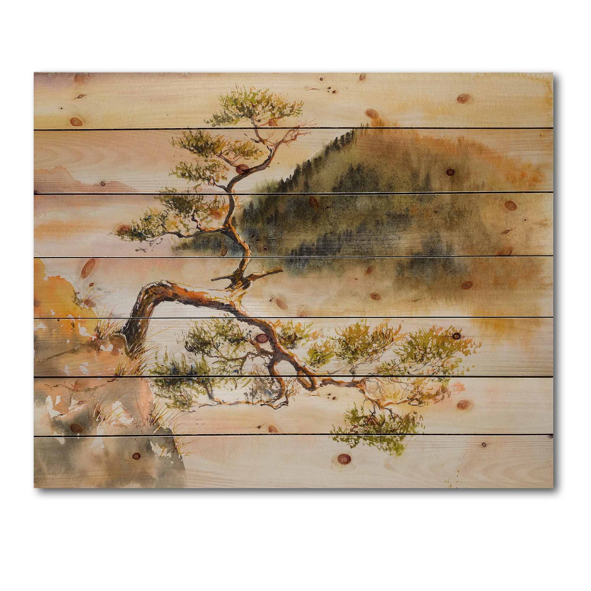Designart 'The Top of Sokolica Peak With Curved Pine Tree' Traditional Print on Natural Pine Wood