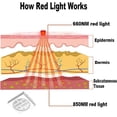 thumbnail image 2 of Red Light Therapy Belt for Body Pain, Infrared Light Therapy with Timer and Remote, 2 of 5