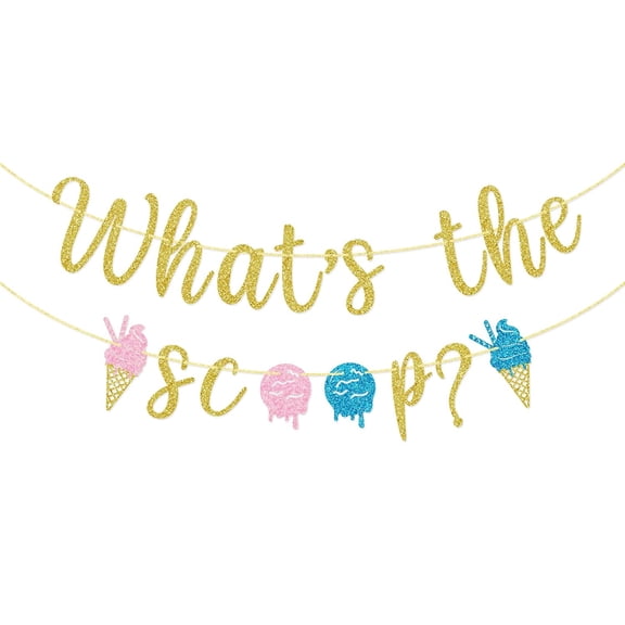 What's The Scoop Banner, Ice Cream Gender Reveal Banner, Baby Shower Decorations1