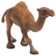 thumbnail image 2 of Simulation Camel Figurines Plastic Animal Model 1Pcs for Decor, 2 of 3