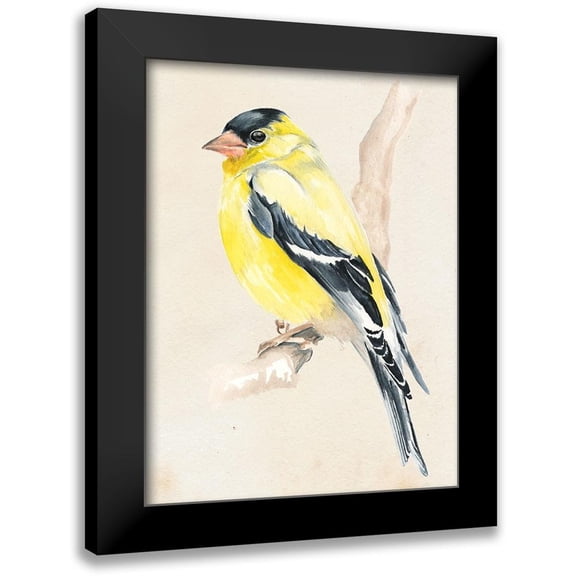 Parker, Jennifer Paxton 12x14 Black Modern Framed Museum Art Print Titled - Little Bird on Branch III