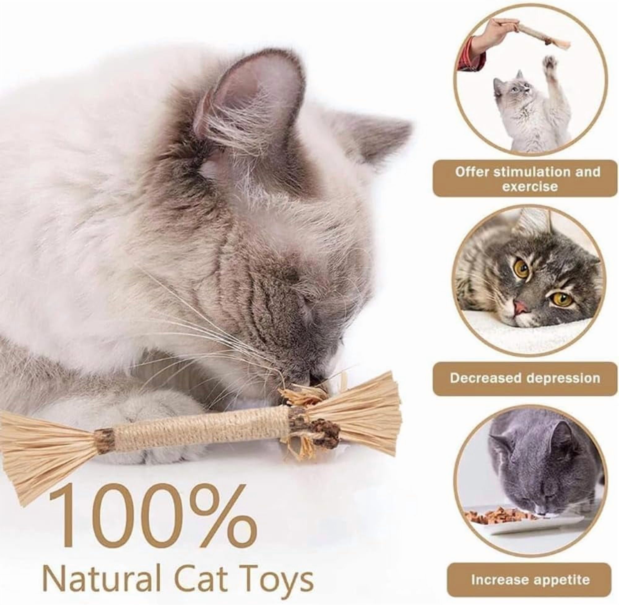 Purriq Natural Silvervine Dental Sticks, Puriq Comfora Pure Silvervine Dental Sticks for Cats, 5/10/15/20PCS Cat Chew Toy for Teeth Cleaning Interactive Chew Sticks for Indoor Cats& Kittens (20Pcs)