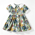 thumbnail image 2 of Baby Boy Girl Summer Outfits Floral Print Peter Pan Collar Girl Dress Kids Short Sleeve Floral Dress Matching Boy Plaid Suspender Outfit Sets, 2 of 8