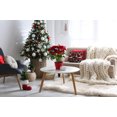 thumbnail image 4 of Simply Daisy Christmas Burgandy Colored Crazy Merry Christmas Soft Spun Polyester Decorative Throw Pillow, 20" x 20", 4 of 4