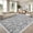 Gray, variant on Memoryfield Floral Area Rugs 8' x 10' Washable, Modern Accent Carpet Indoor Mat, Stain-Resistant Floral Throw Rugs, Easy to Clean, Ideal for Bedroom, Living Room, Multicolor