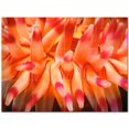 thumbnail image 1 of Sealife Photo Ceramic Tile Mural Kitchen Backsplash Bathroom Shower 405802-L43, 1 of 3