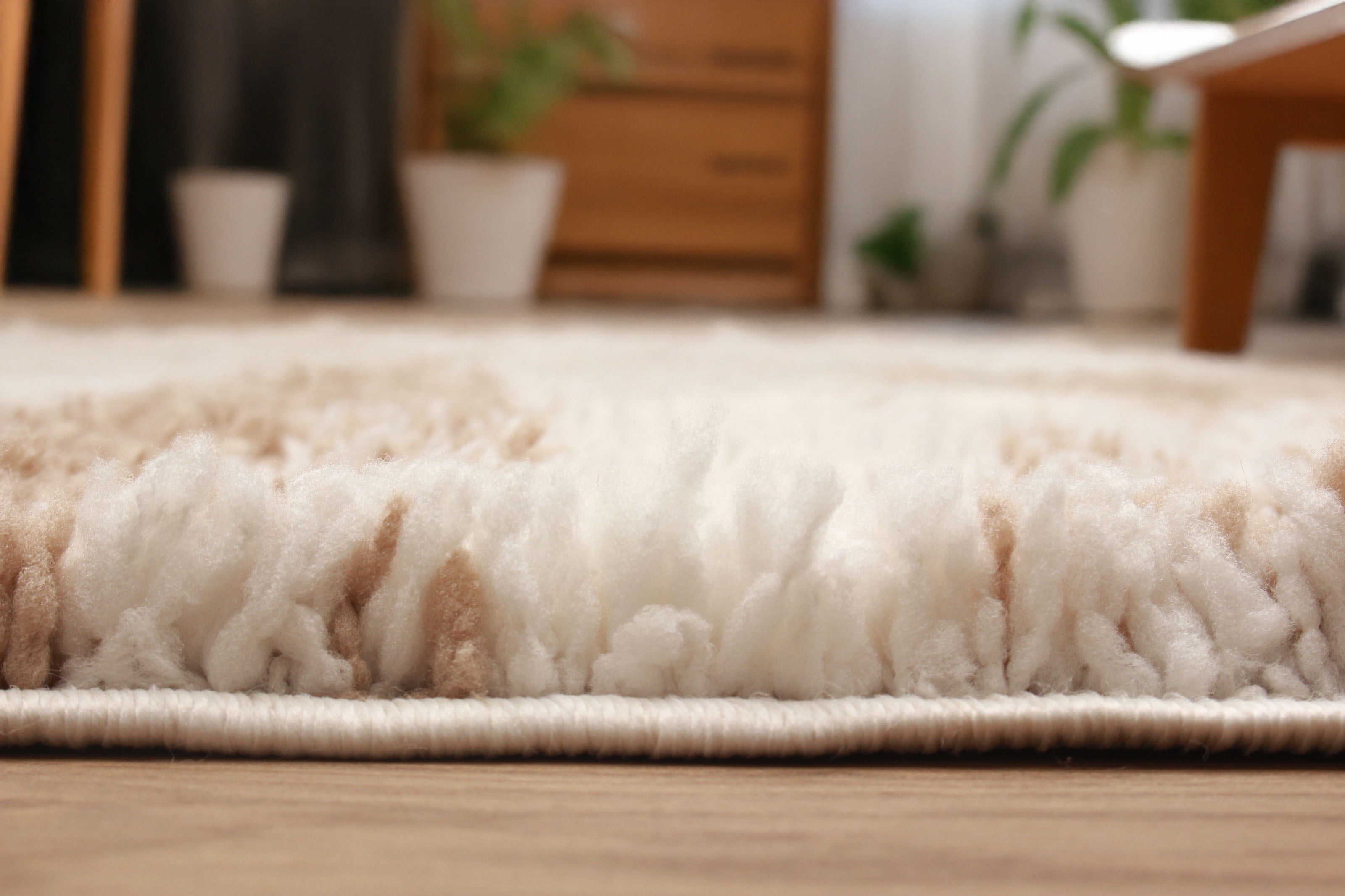 ECARPET Sirius Contemporary/Modern, Plush & Shags Area Rug for Living Room, Bedroom, Dining Room, Entrance, Hallway and More.