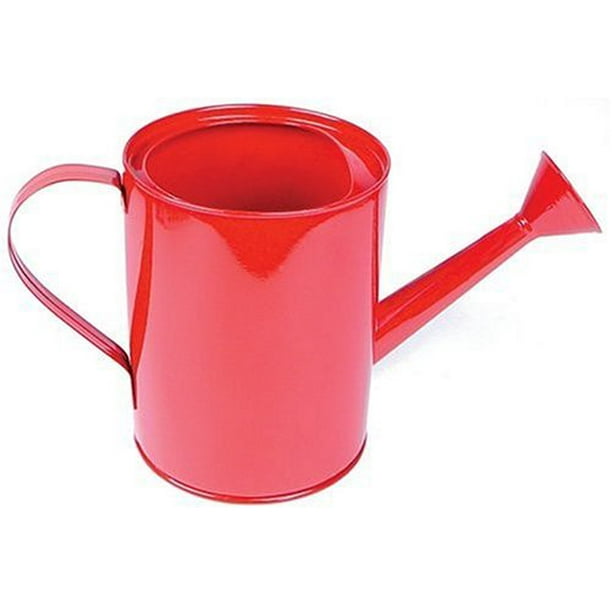 Small Metal Watering Can (Colors May Vary)