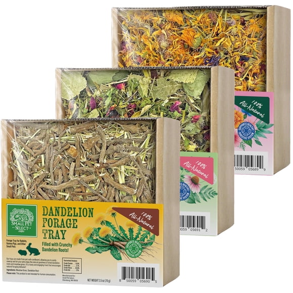 Ensemble de Plateaux à Fourrage Small Pet Select Lapin Cochon d'Inde 75 ml X3