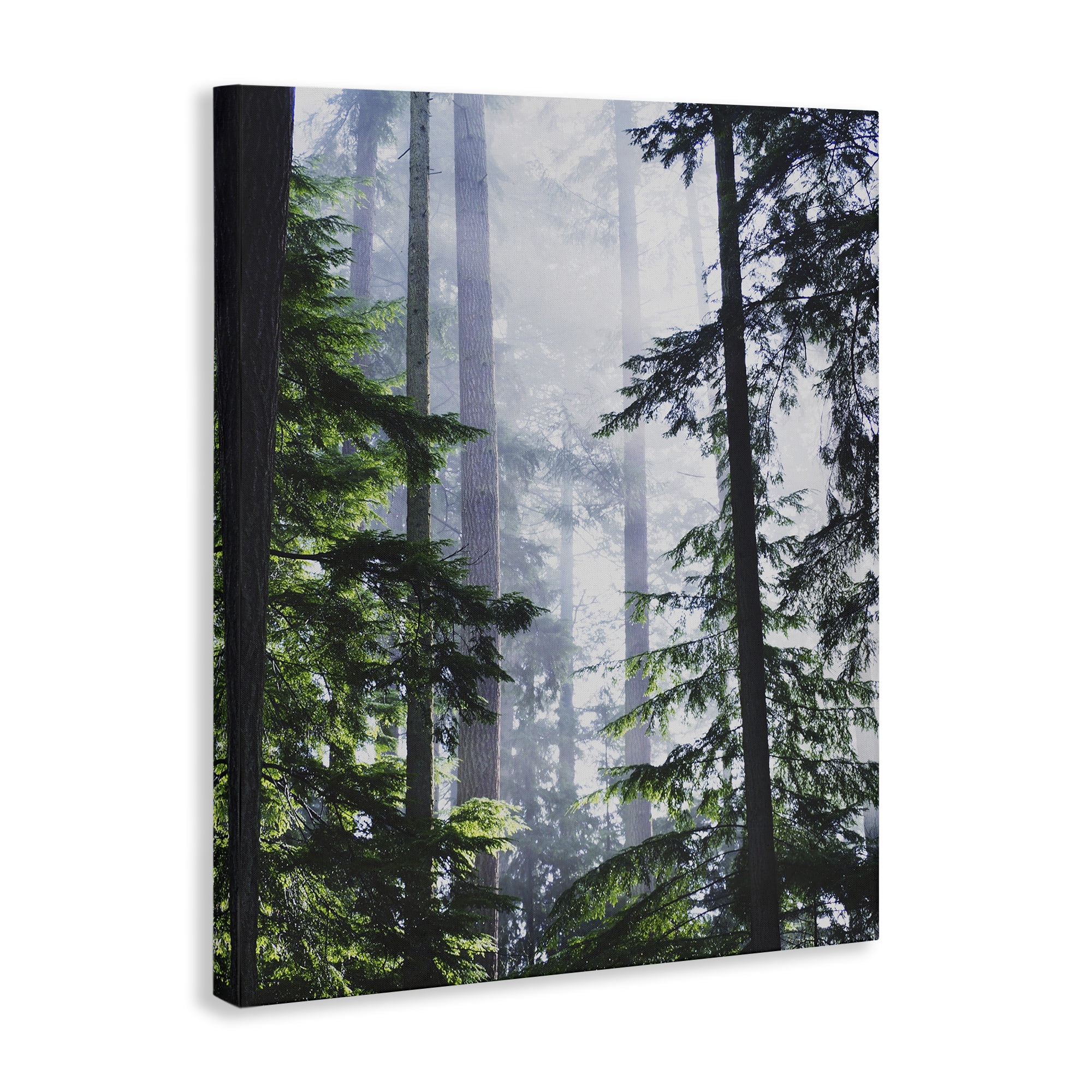 Stupell Industries Foggy Forest View Landscape Photography Gallery Wrapped Canvas Art Print Wall Art, 16 x 20