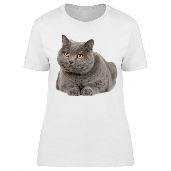 Adorable Furry Cat T-Shirt Women -Image by Shutterstock, Female 3X-Large