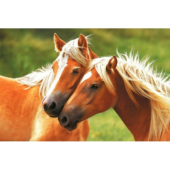 Horse Prints & Posters