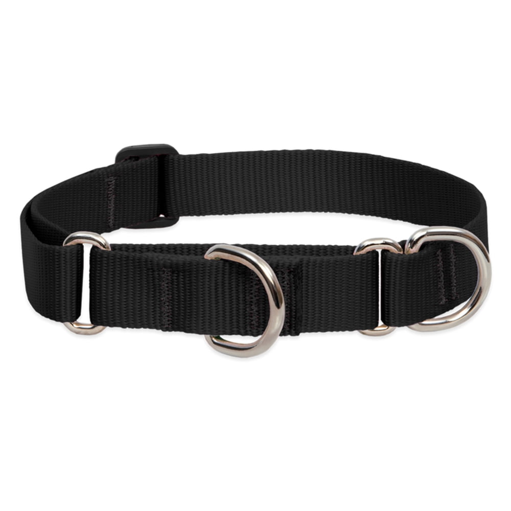 LupinePet Basics 1" Black 15-22" Martingale Collar for Medium and Larger Dogs