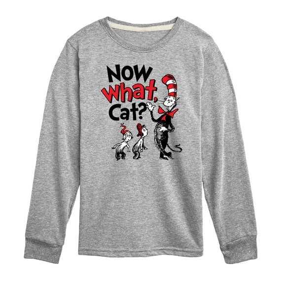 The Cat in the Hat - Now What Cat - Toddler & Youth Long Sleeve Graphic T-Shirt