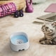 thumbnail image 4 of pstuiky Bebedero flotante para mascotas con dispensador de agua que no moja., 4 of 4