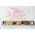 thumbnail image 1 of Custom Designs Such A Big Miracle In Such A Little Girl. Quote 10x20", 1 of 1