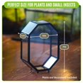 thumbnail image 2 of NCYP Mini 5x7 inches Spider Enclosure Terrarium with Vents, Octagon Shape Indoor Insect Pet Habitat, Terrarium Only, 2 of 13