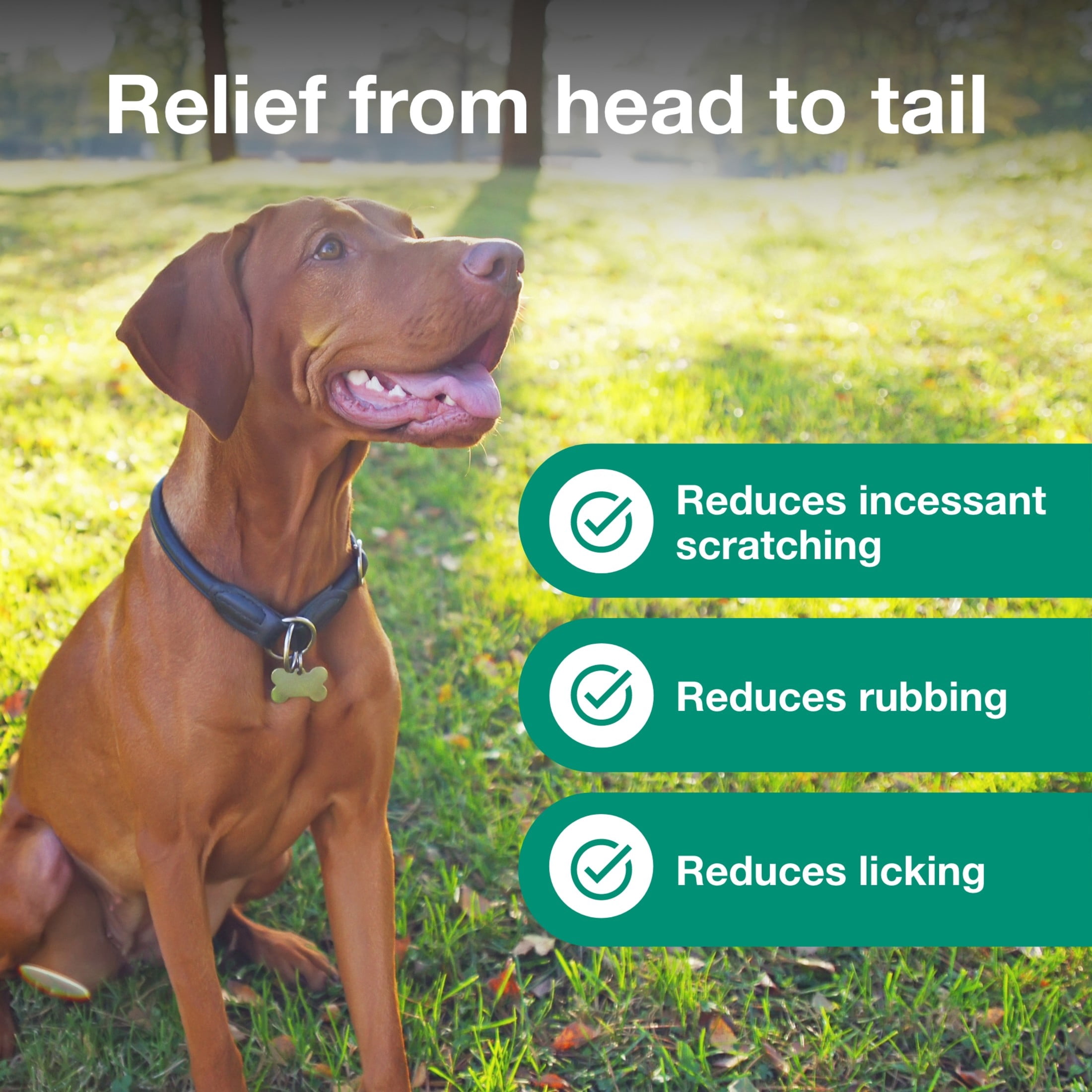 Atopica Dog Atopica | Dermatitis Treatment | Itch Relief for Dogs | Oral Capsules | 10 mg