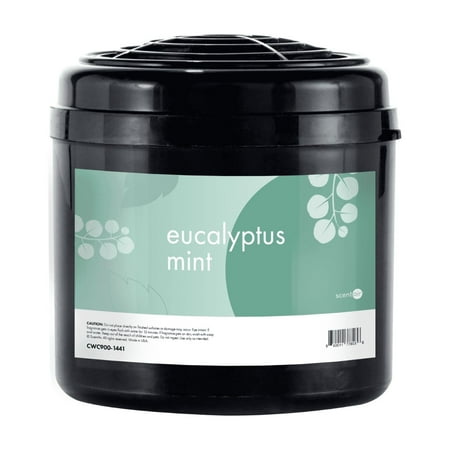 ScentAir Whisper Home Plug-in Refill, Air Freshener Fragrance Cartridge, Eucalyptus Mint, 1 Pack