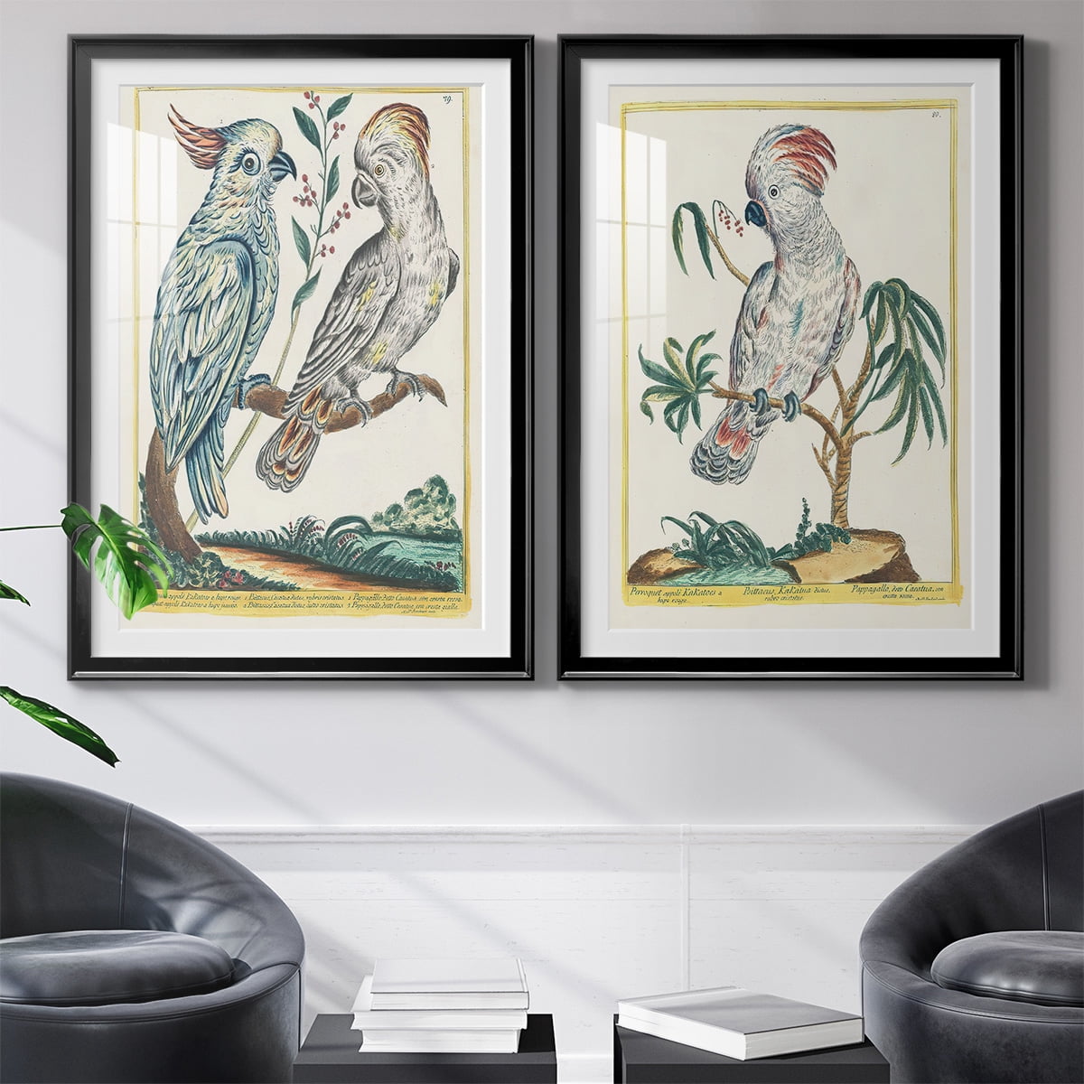 Wexford Home Pastel Birds I Premium Framed Print, 18.5" x 24.5" - Ready to Hang, Black (Set of 2)