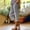 z0001-Gray, variant on Floleo Women's High Waisted Cropped Jogger Pants Elastic Waist Tapered Pants with Side Pockets Casual Loose Pants for Summer Daily Wear(Yellow,XS)