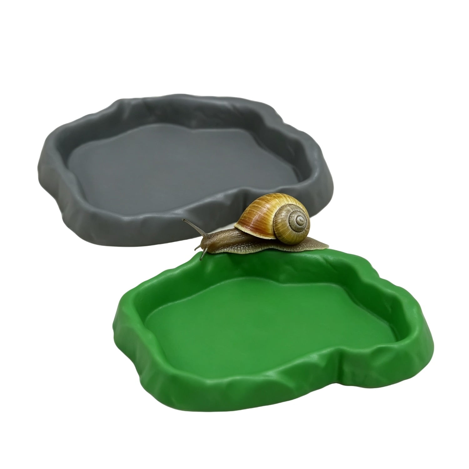 Snail Water Bowl Reptile Dish Feeding for Pet Snails, Hermit Crab Grey, Green 2 Pack