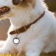 thumbnail image 4 of BESTYASH 8Ud Protector De Para Mascotas En Silicona Silenciador Flexible Para Collar De Perro, 4 of 8