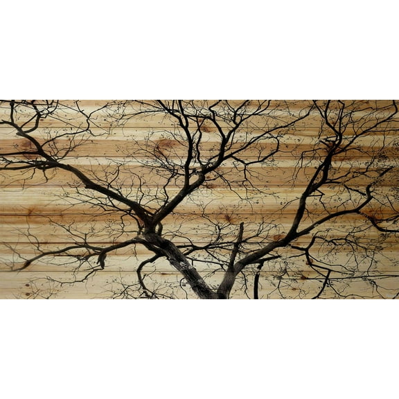 Parvez Taj Branching Out Pinewood Wall Art