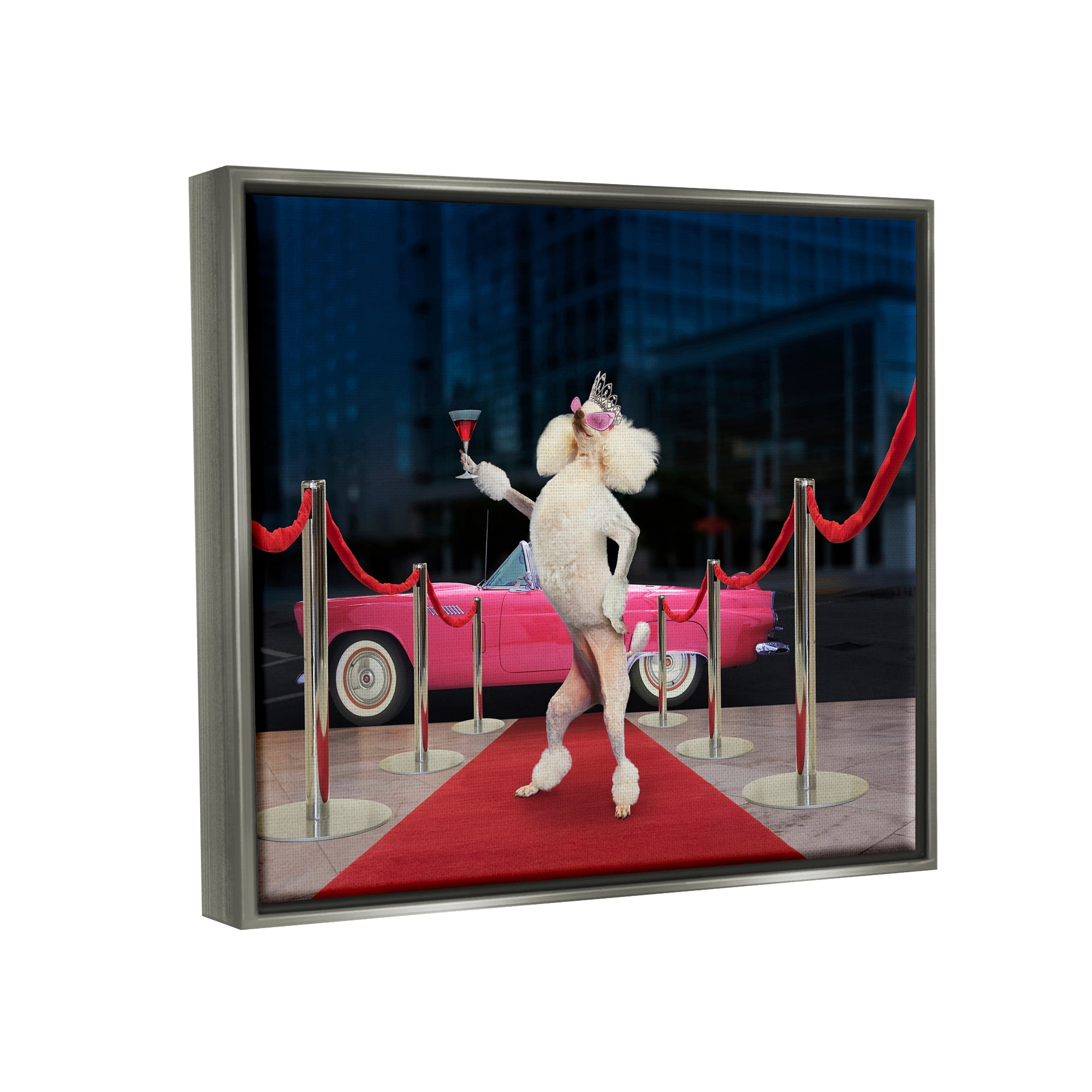 Stupell Industries Funny Red Carpet Poodle Animals & Insects Painting Gray Floater Framed Art Print Wall Art, 31 x 25
