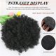 thumbnail image 2 of Afro Kinky Curly Wig - Natural Black, Silver Headband Attached, Glueless, Short, 2 of 5