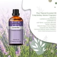 thumbnail image 3 of Lavender Essential Oil 30ML/ 1.01FL.OZ, PHATOIL Pure Aromatherapy Lavender Oil for Massage, Diffuser, Soap Making, Long Lasting Scents, 3 of 7