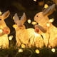 thumbnail image 4 of Luces Decorativas de Cadena, Diseño de Gallina y Huevo, Iluminación Novedosa con 20 LEDs, 200cm para Pascua, Fiestas, Celebraciones, 4 of 7